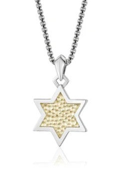 TWO TONE STAR OF DAVID PENDANT